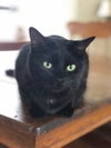 Kaia - Photo 2