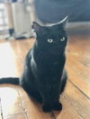 Kaia - Photo 3