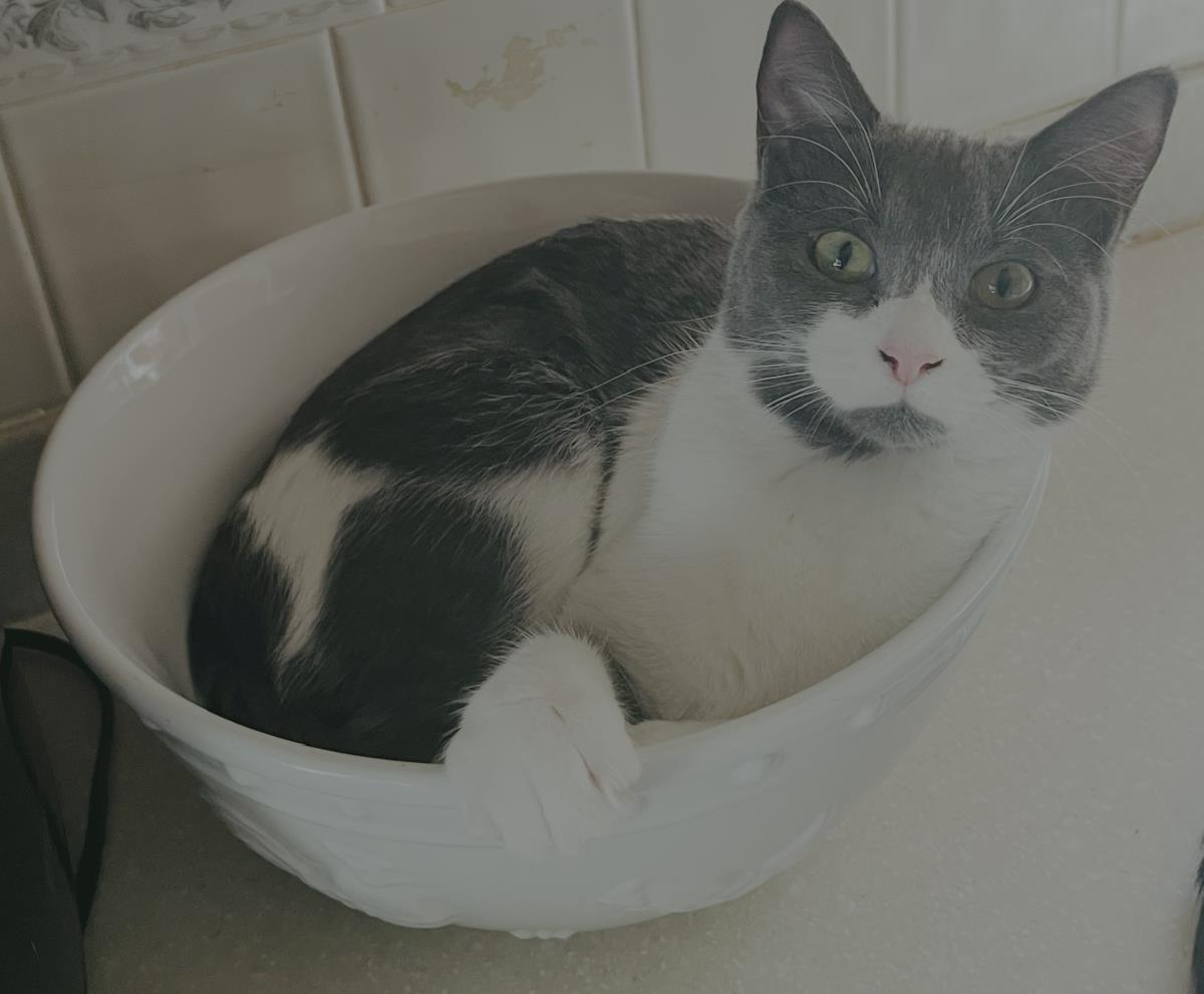Riley Image