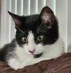 Roxy - Photo 4