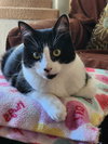 Roxy - Photo 3