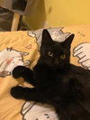 Dorothy - Photo 2