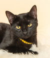 Prue - Photo 1