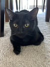 Squirt - Photo 2