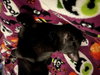 Squirt - Photo 2