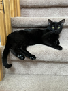 Squirt - Photo 3