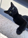 Bubbles - Photo 2