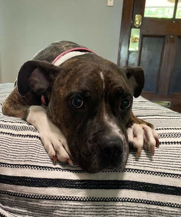Rosie
