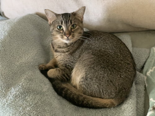 Photo of Annie