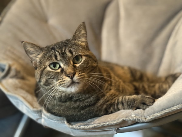 Maggie