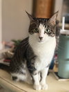 Betty - Photo 3
