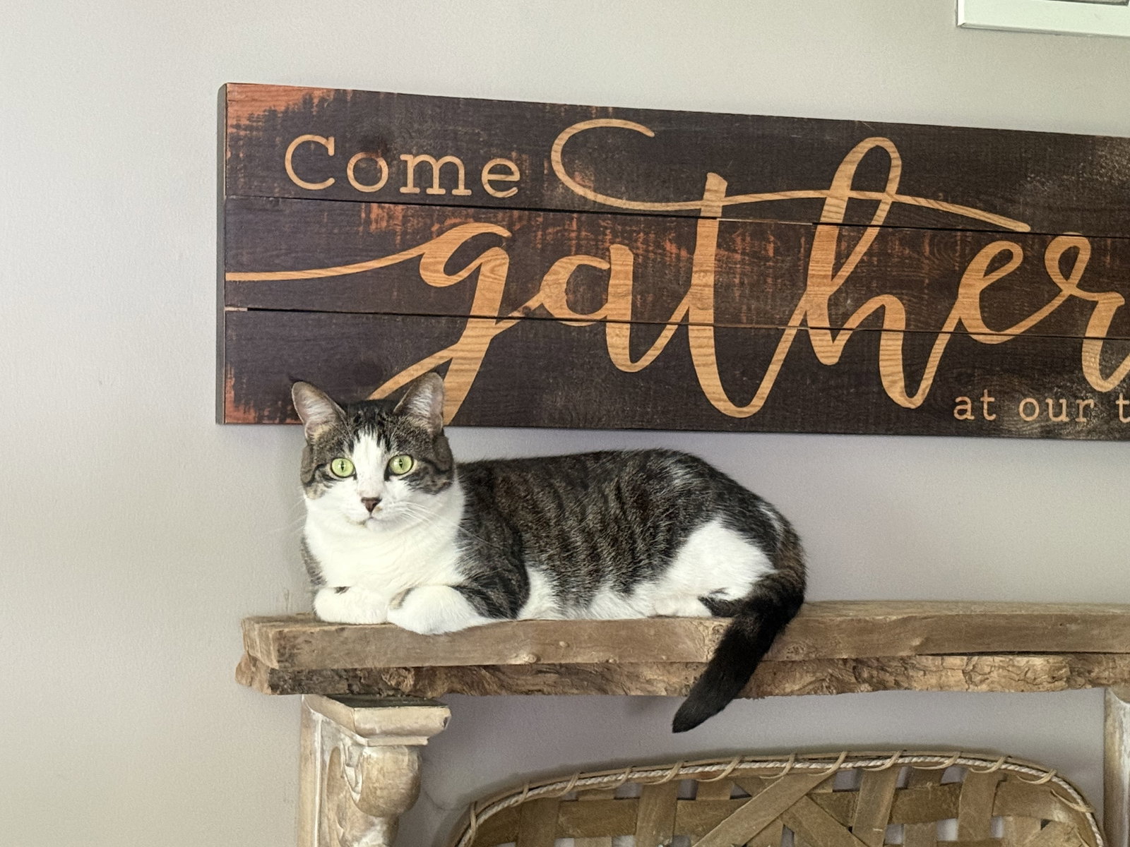 Betty Image