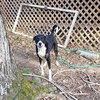 Max - Photo 3