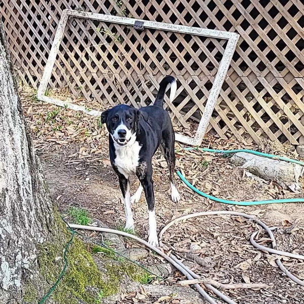 Max
