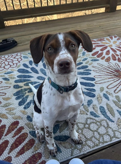 Sebastian