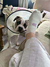 Billy - Photo 3