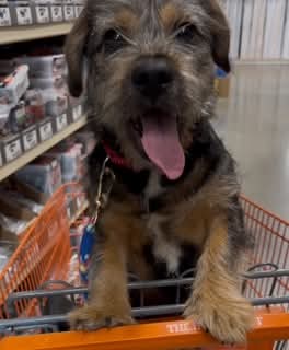 Buster Image