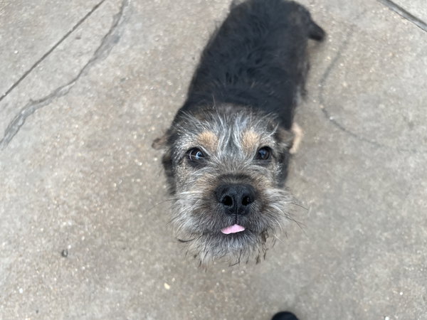 Buster