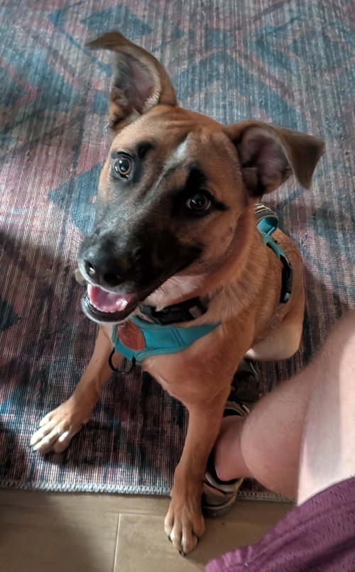 Kora photo 2