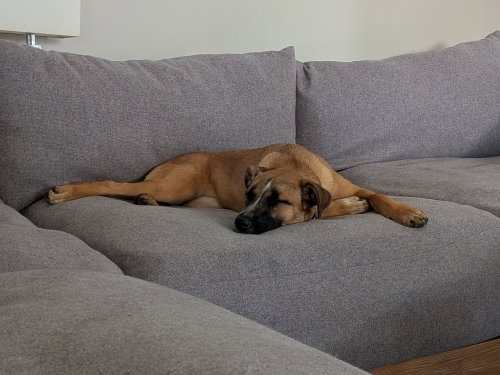 Kora photo 3