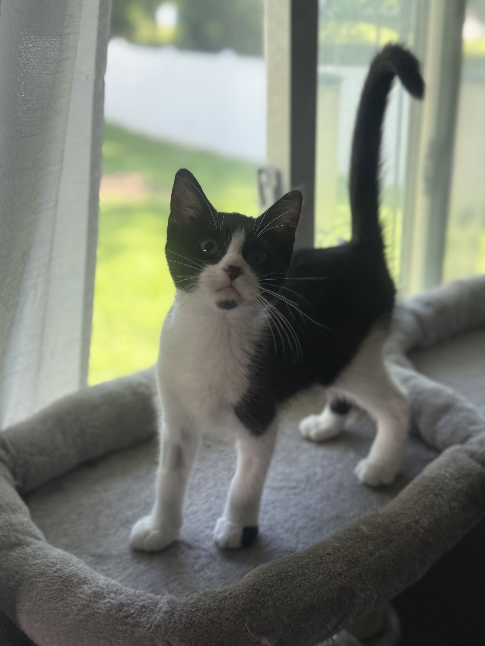 Thelma