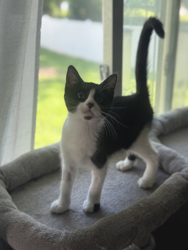 Thelma