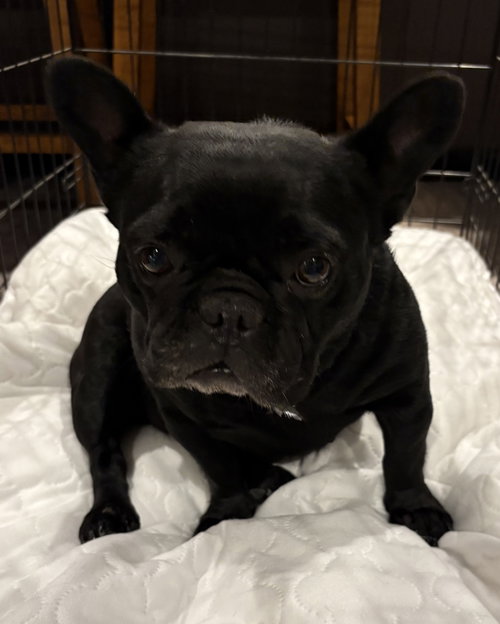 Onyx