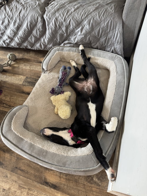 Winnie photo 3