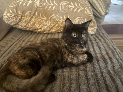 Photo 2 of Mia