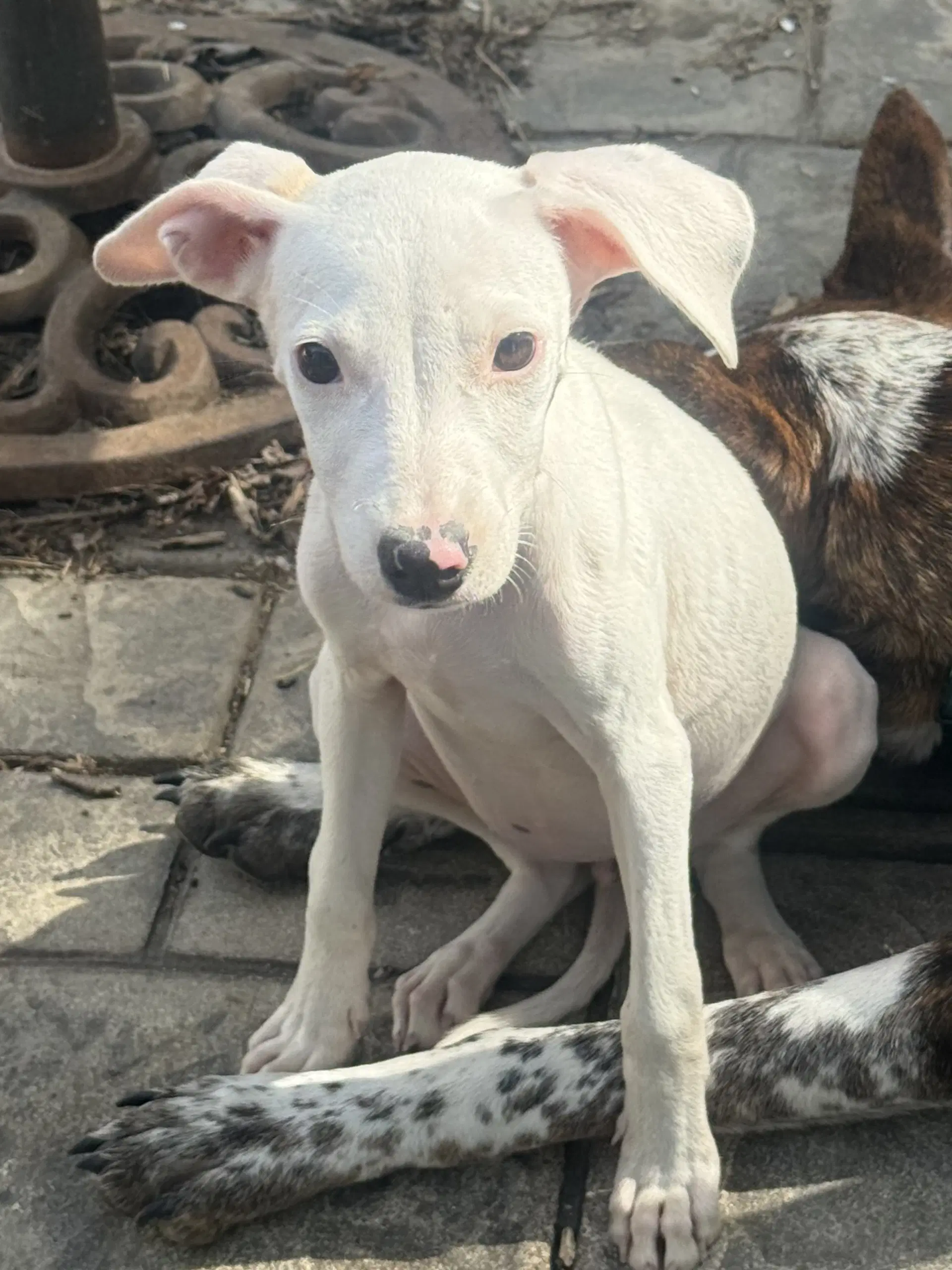 Matilda image 2
