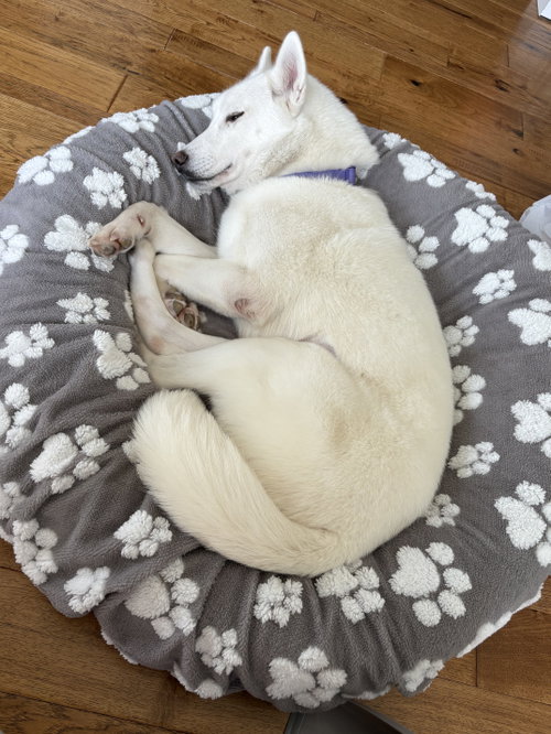Photo 3 of Luna