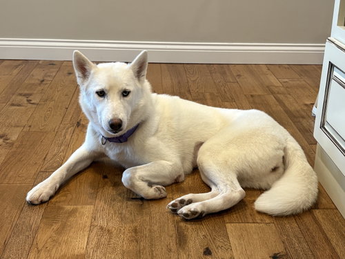 Photo 4 of Luna