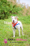 Titan - Photo 2