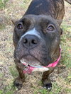 Lexi - Photo 3