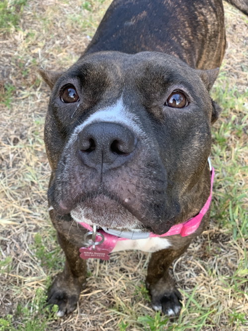 Photo 3 of Lexi