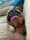 Molly - Photo 3