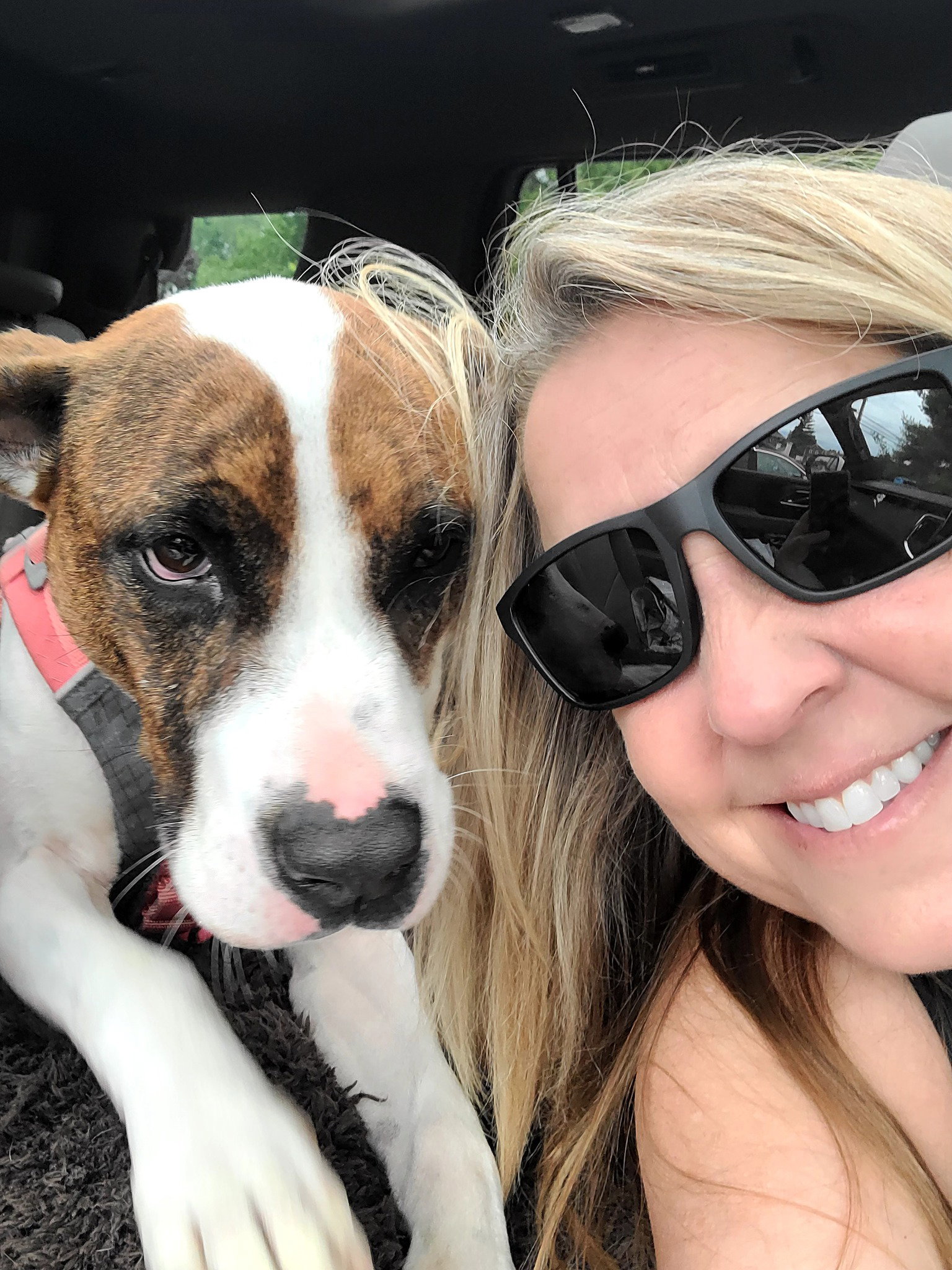 Dog for Adoption - Marla, a in Brandon, VT | Alpha Paw