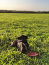 Otto - Photo 2