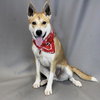 Lucy - Photo 4