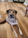 Cleo - Photo 2