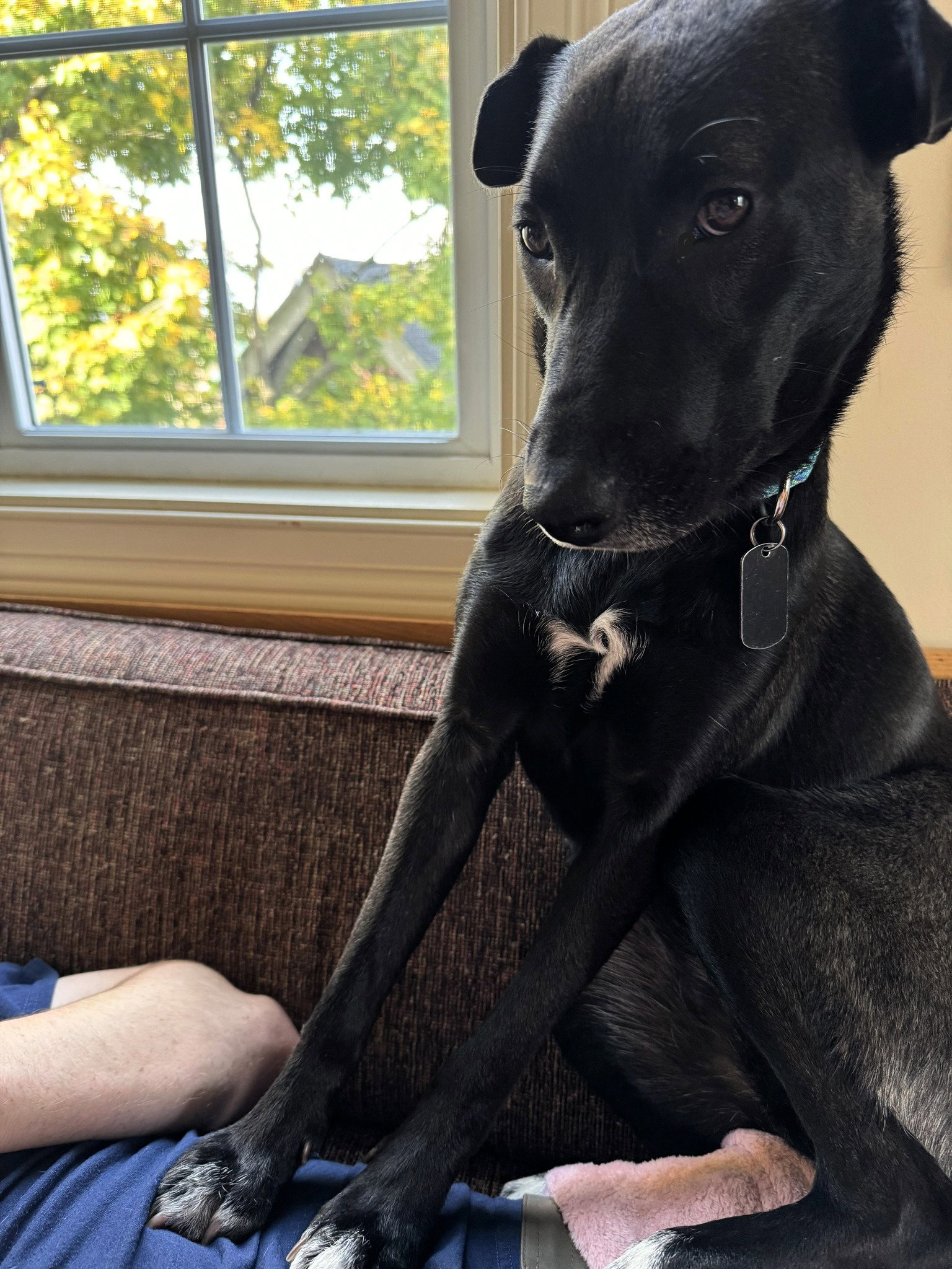 Luna
