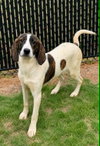 Loretta - Photo 1