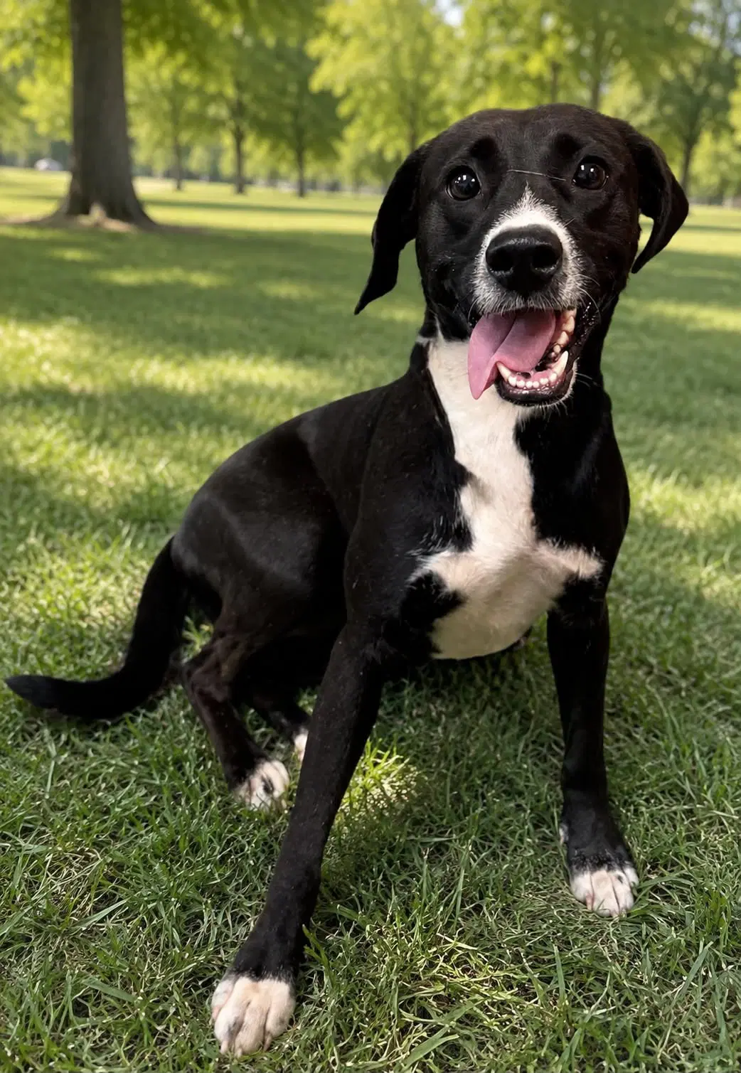 Lucy - Unknown