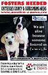 adoptable Dog in , VT named FOSTER HOMES NEEDED!