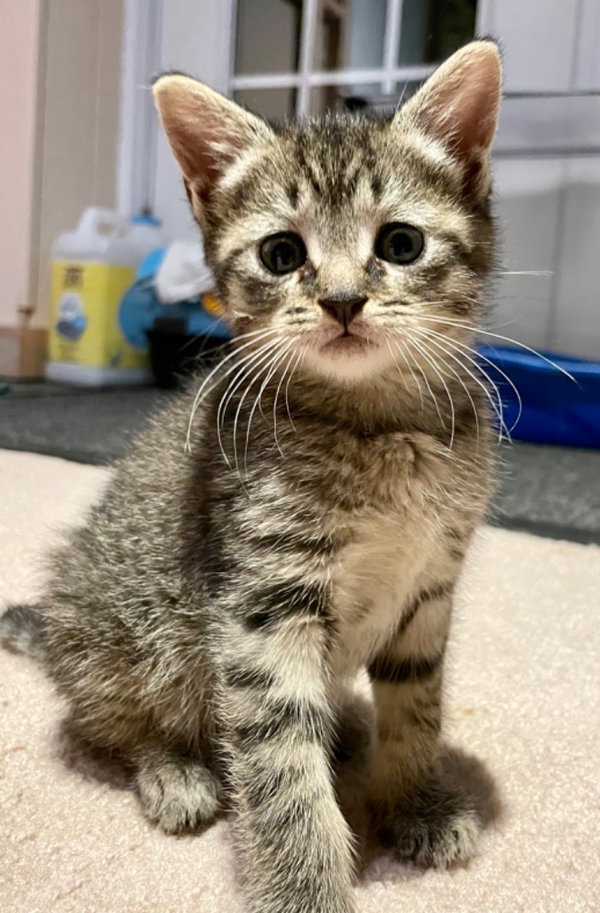 Erik