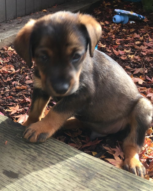 Peeta
