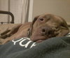 Murphy