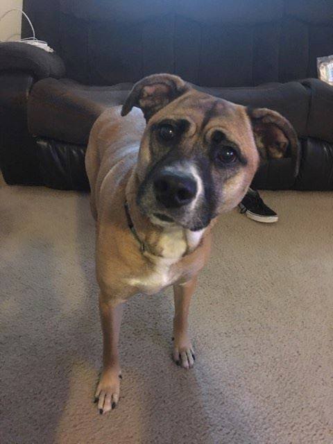 Molly