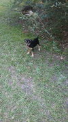 Colby