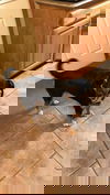 Taz